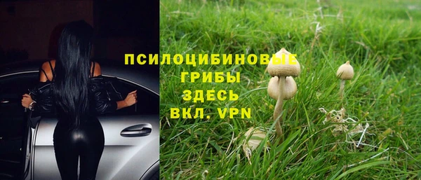 круглые Абаза