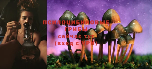 круглые Абаза